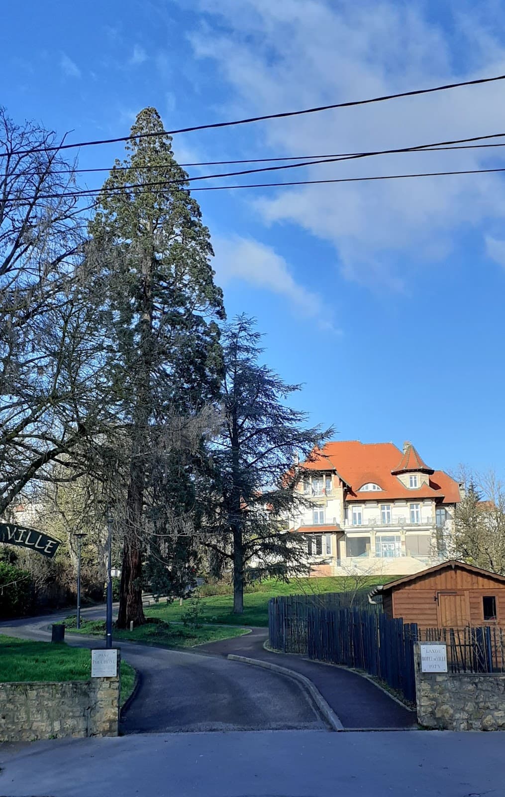 Forêt de Haye Nancy - Image 1