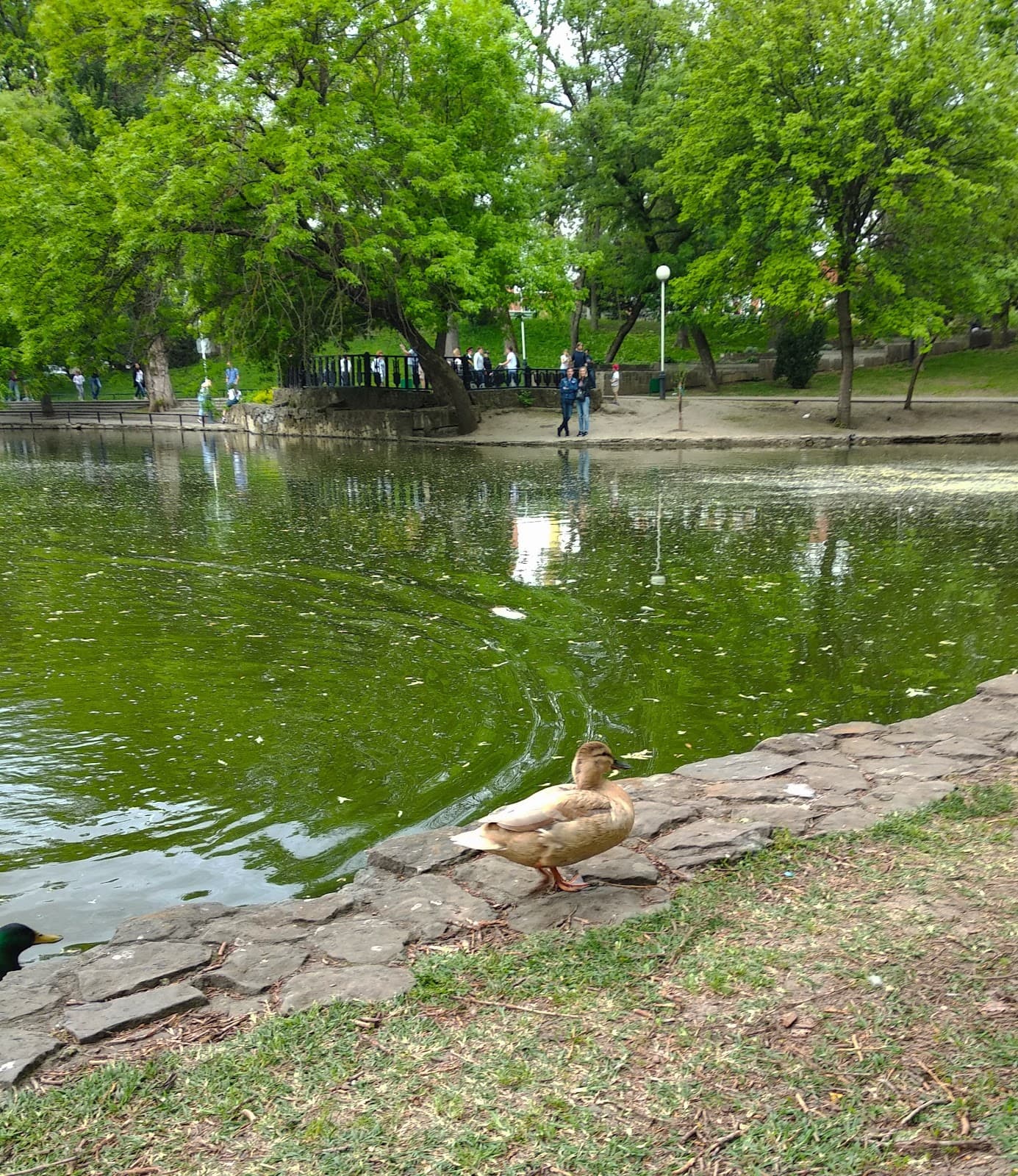 City Garden Gorodskoy Sad - Image 1