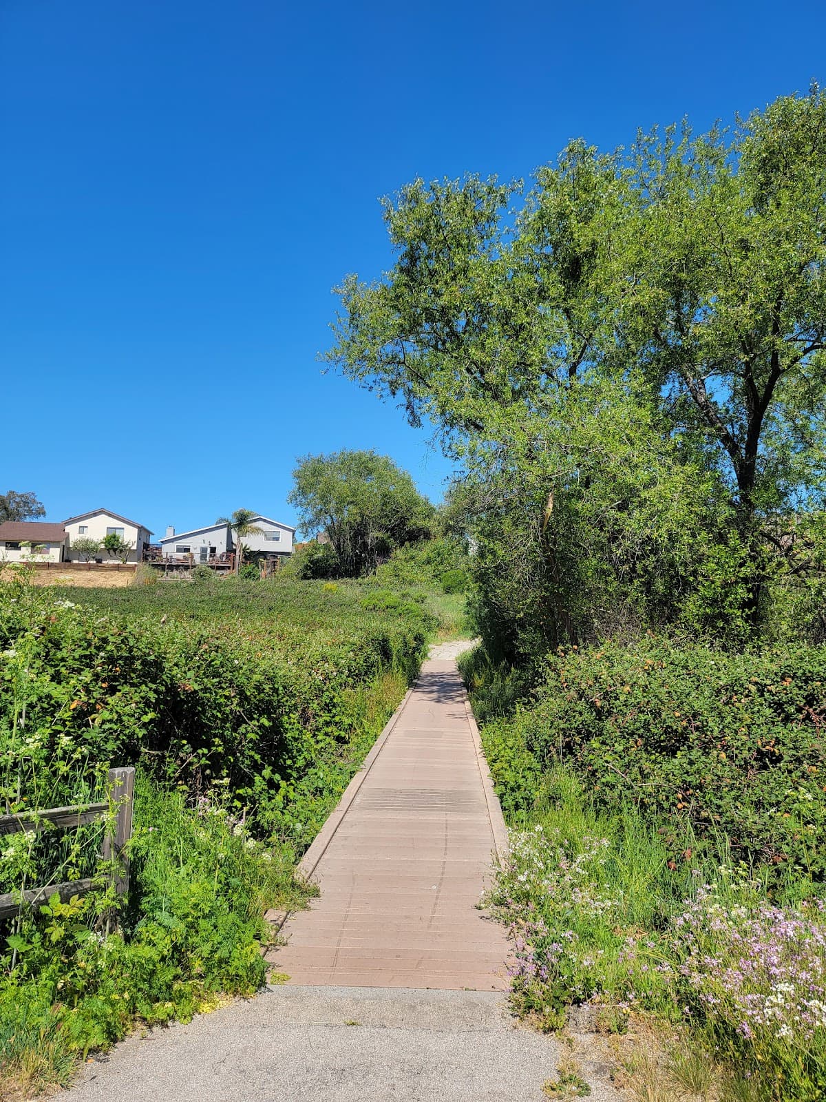 Hope Park - Image 1