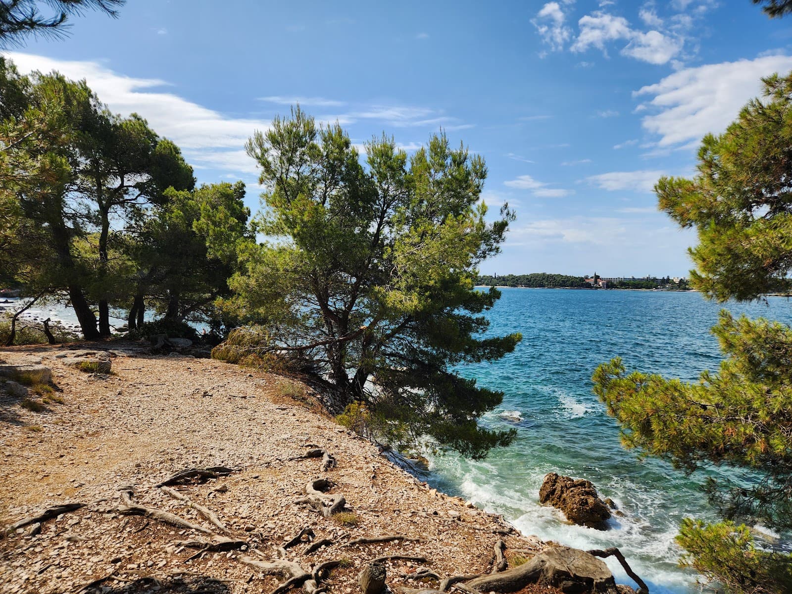 Golden Cape Forest Park / Zlatni Rt / Punta Corrente - Image 1