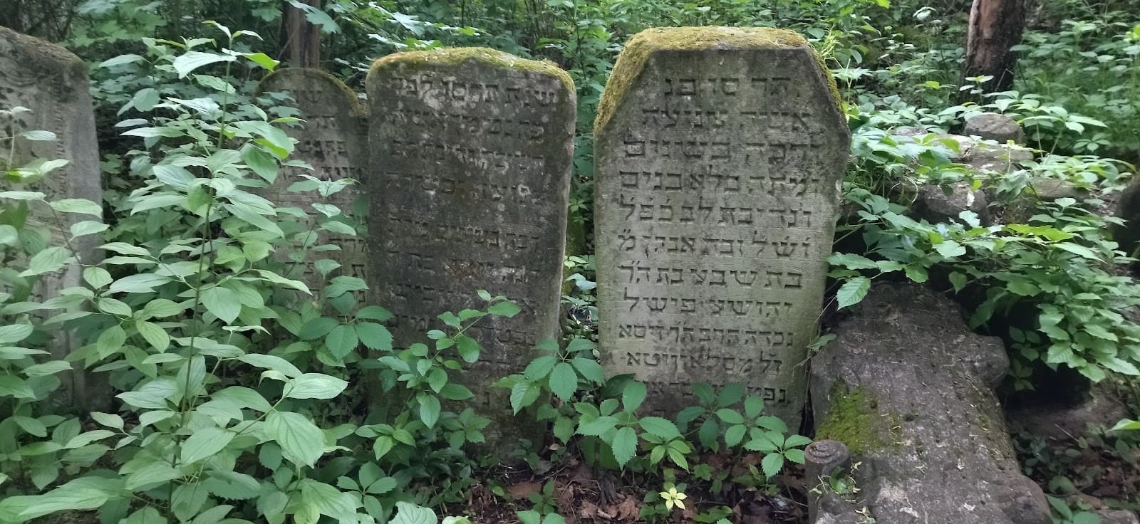 Old Jewish Cemetery - Image 1
