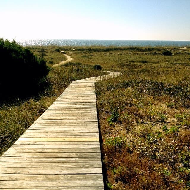 Bald Head Island Conservancy - Image 1