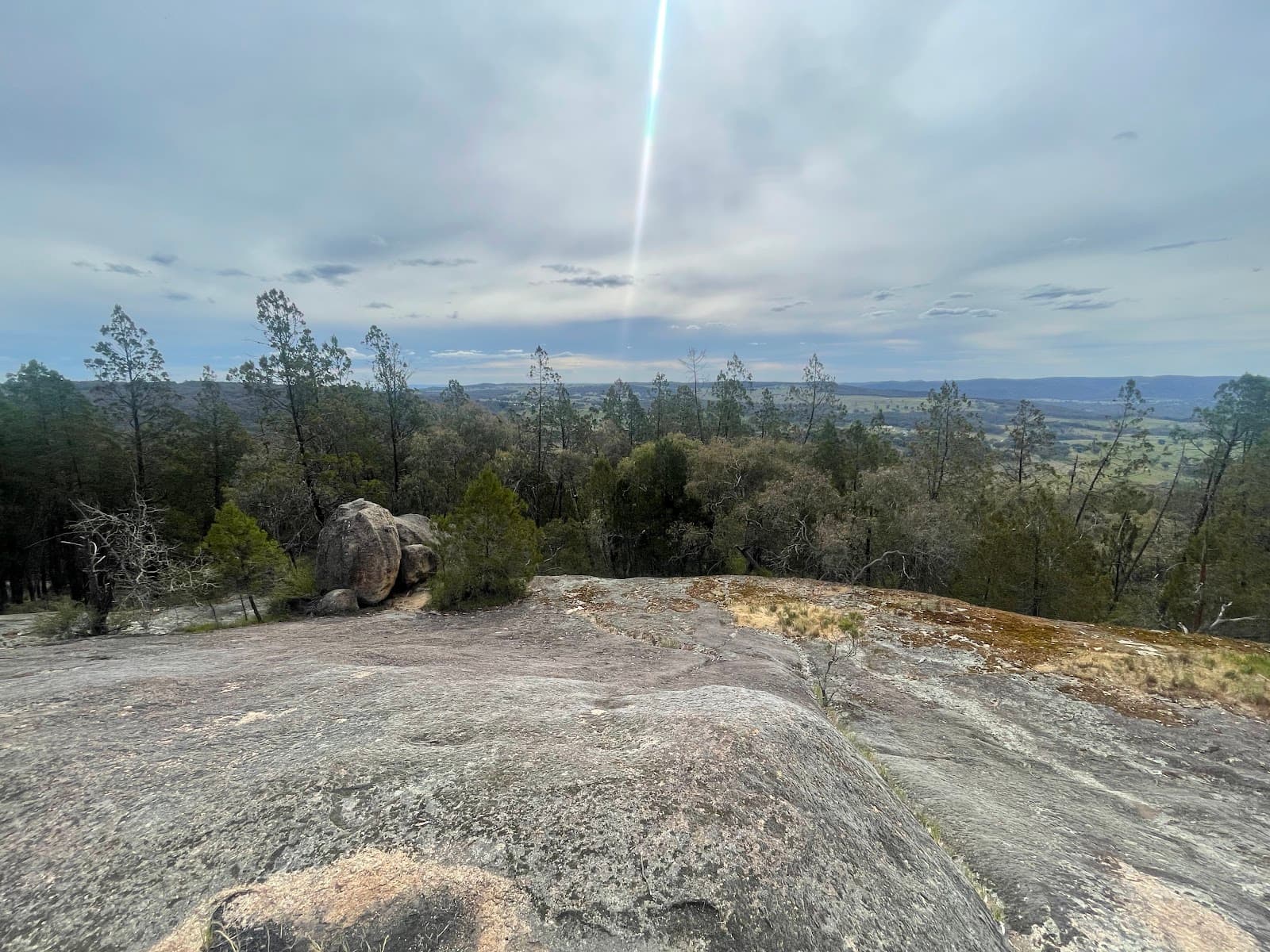 One Tree Hill Lookout - Image 1