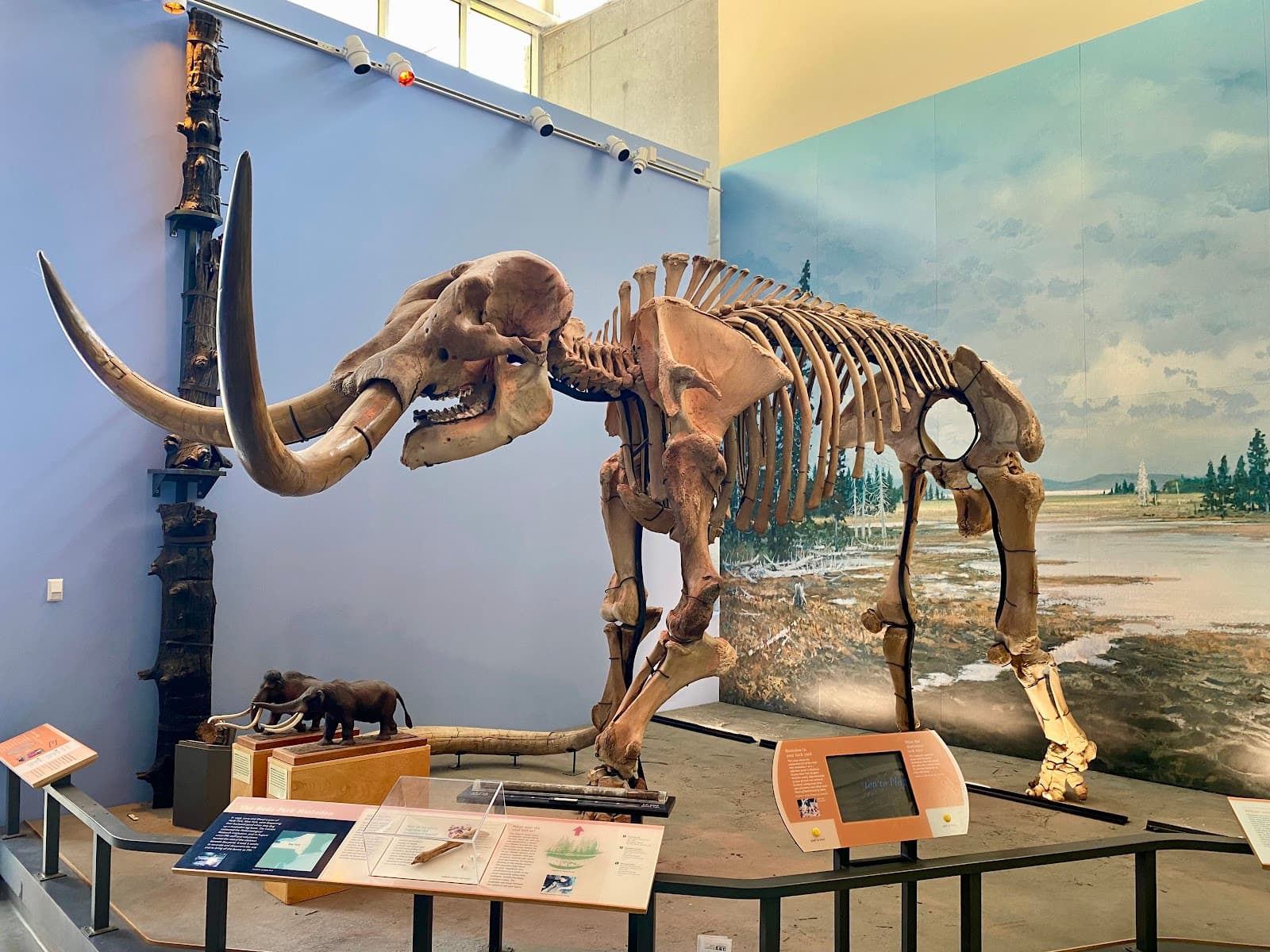 Museum of the Earth - Image 1