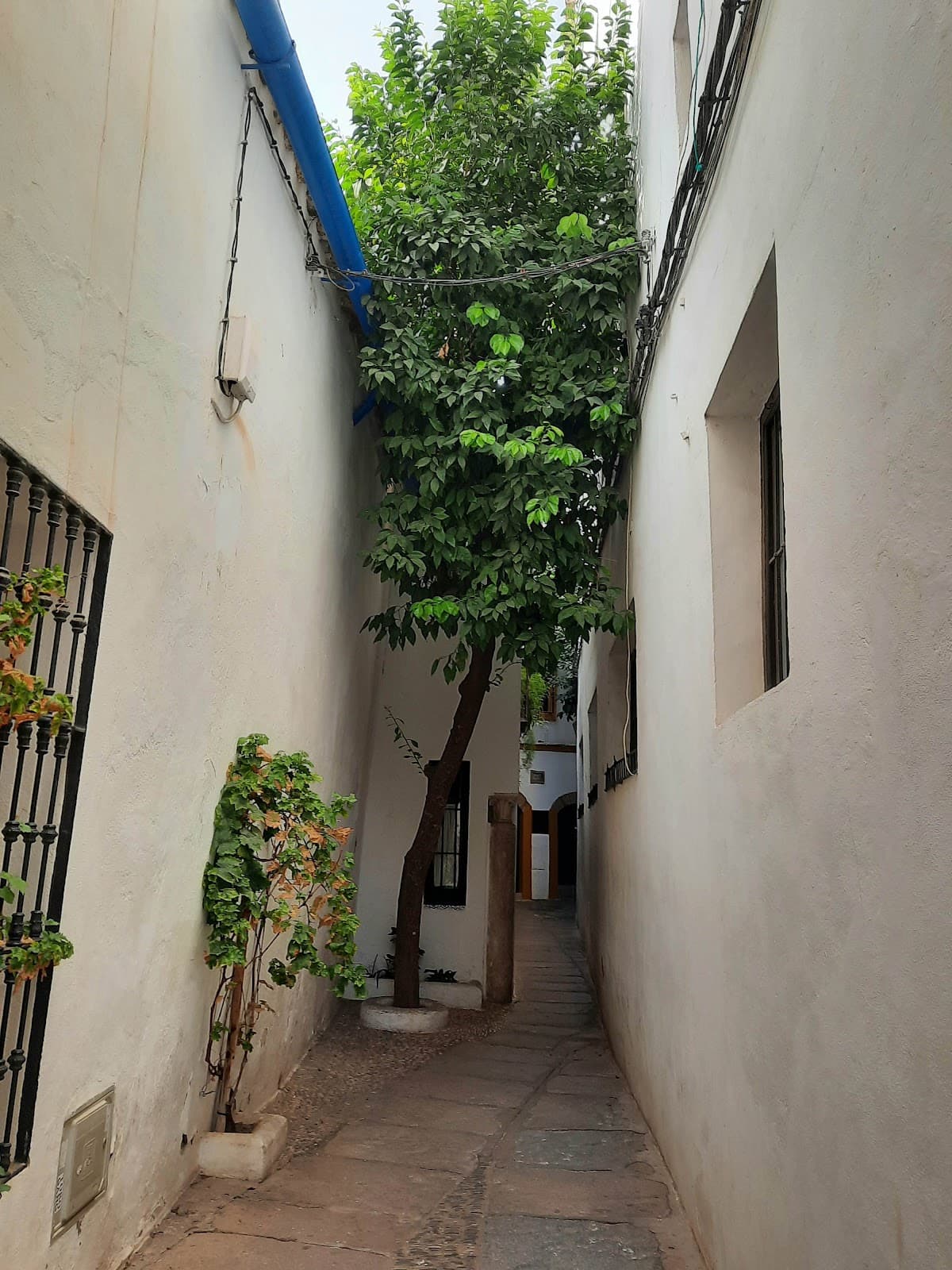 Calleja del Pañuelo - Image 1