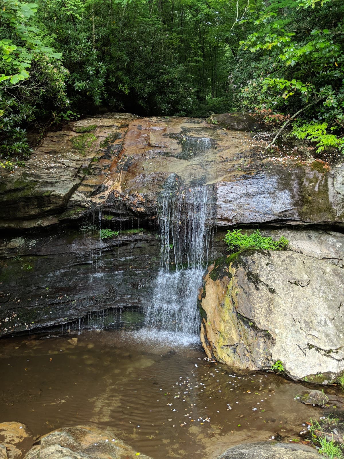 Green Mountain Creek Road Boone - Image 1