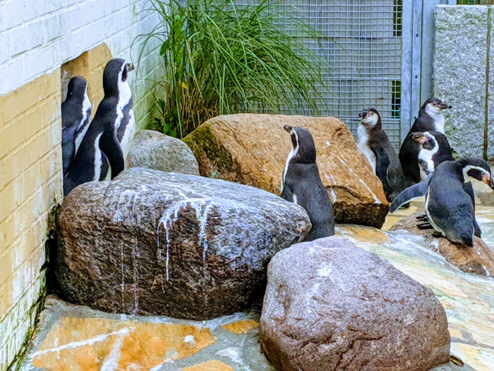 Zoo im Kurpark - Image 1