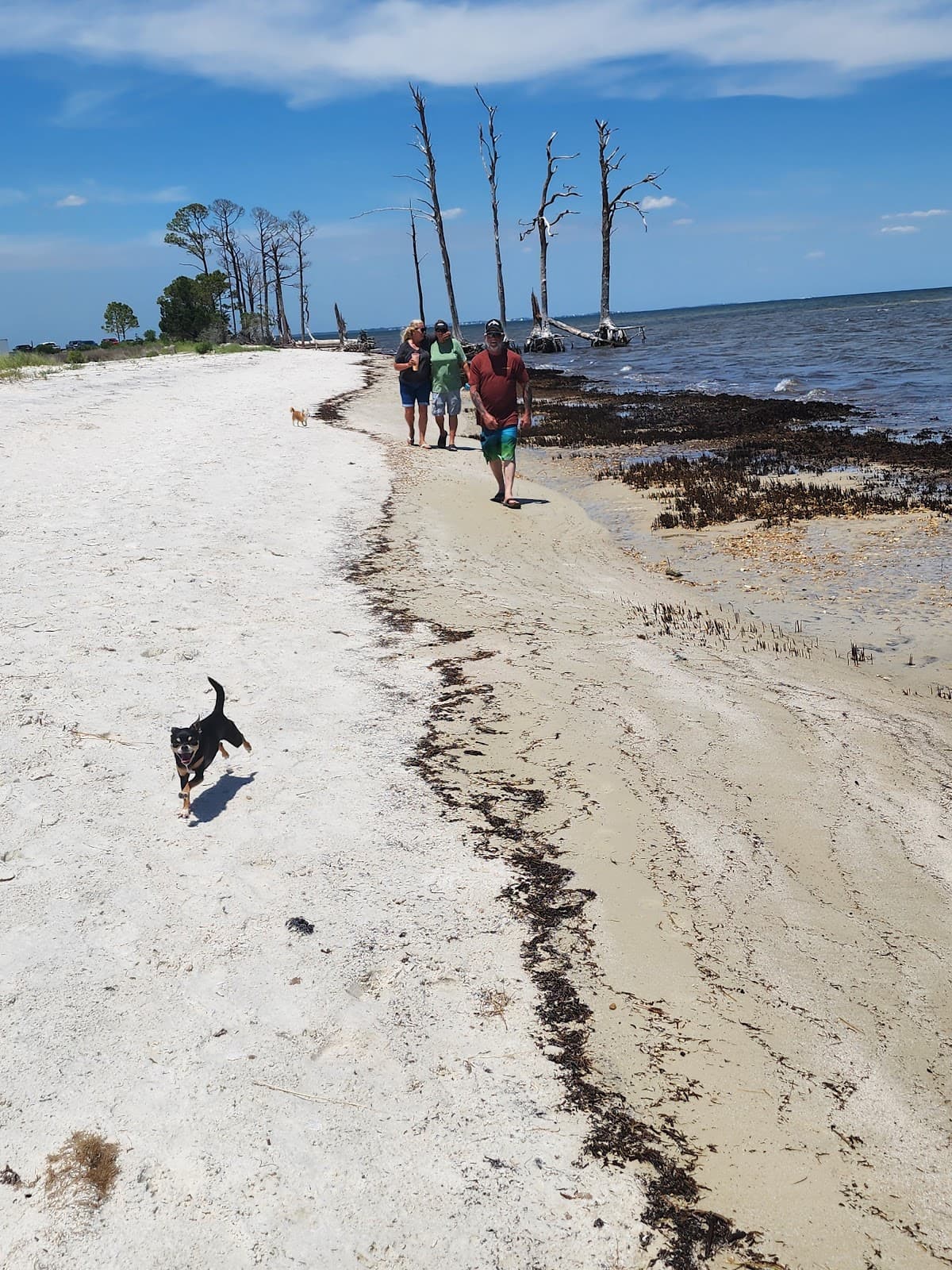 Lake Ave Bridge - Image 1