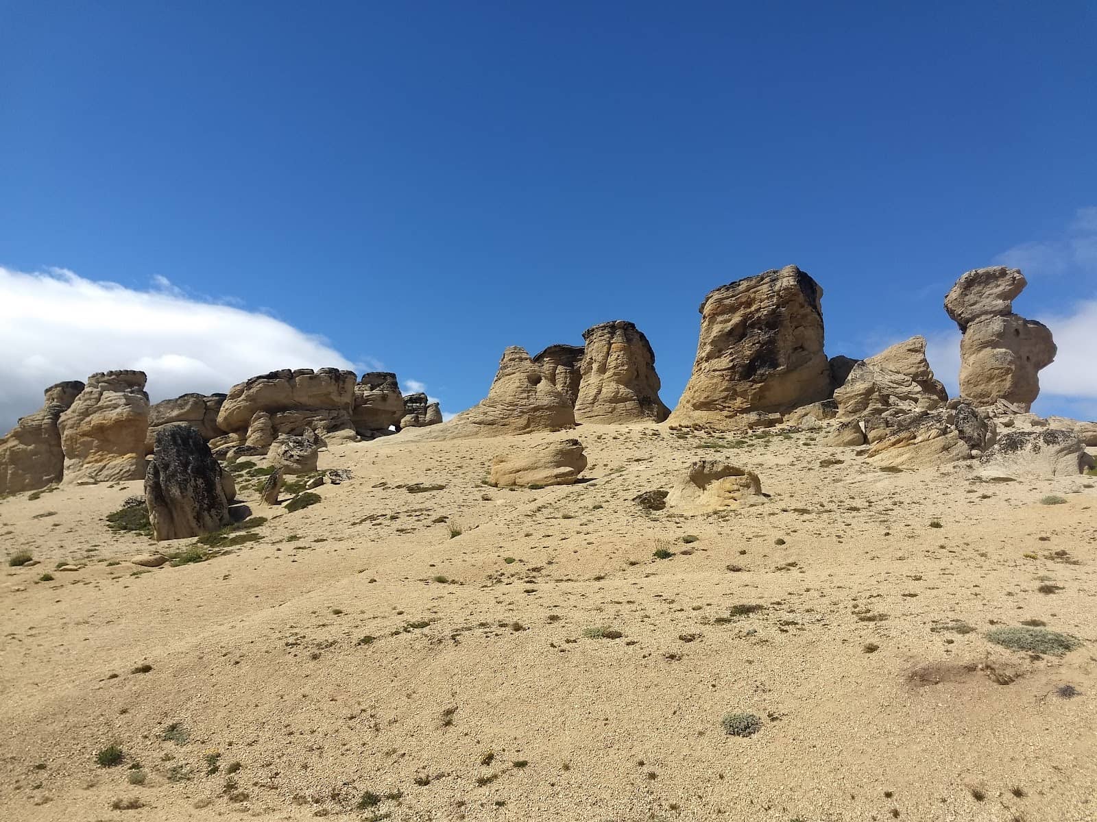 Potential Wildlife Sightings