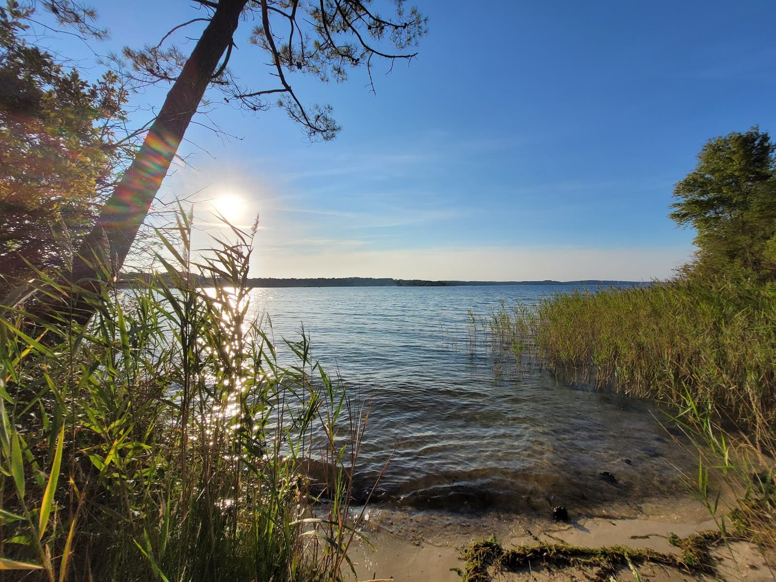 Lac de Cazaux et de Sanguinet La Teste shore - Image 1