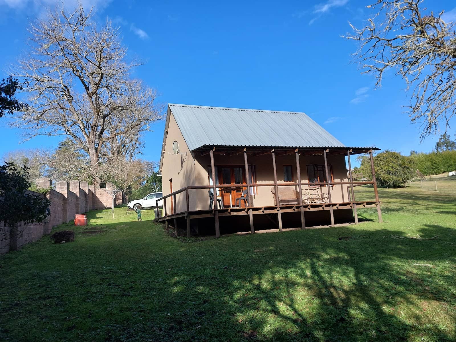 Forest Bathing & Nature Immersion