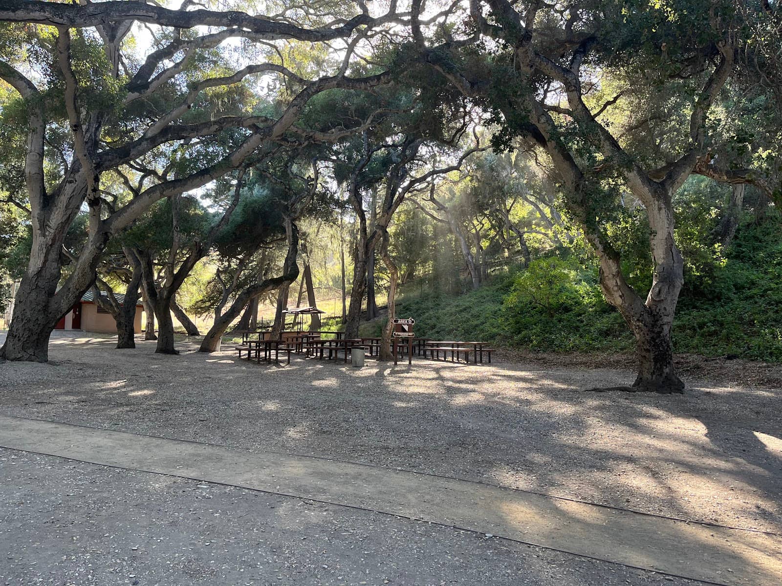 Picnic Paradise