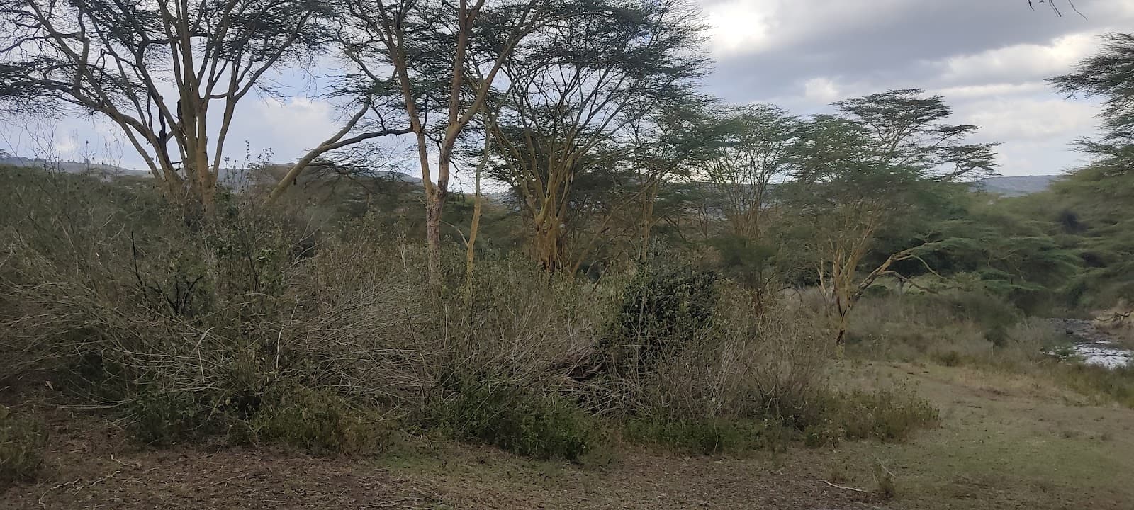 Kigio Wildlife Conservancy - Image 1