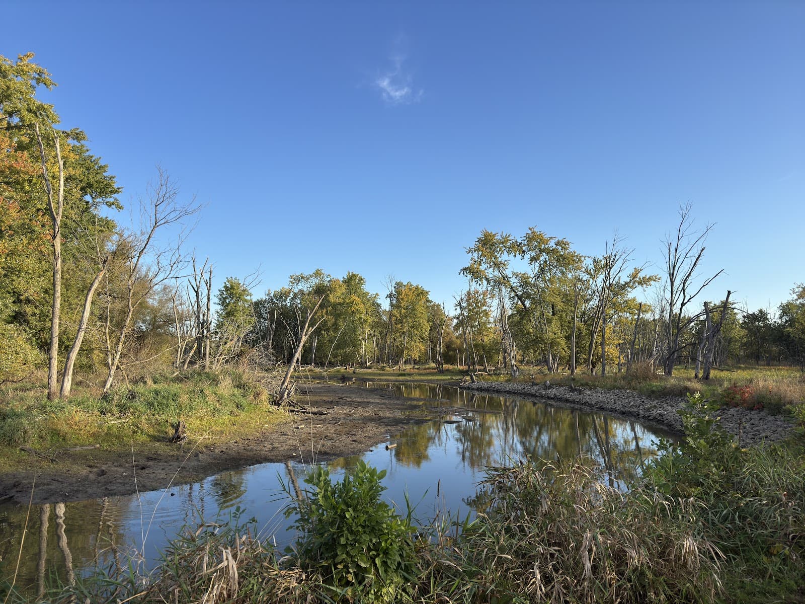 Lake Carina Forest Preserve - Image 1