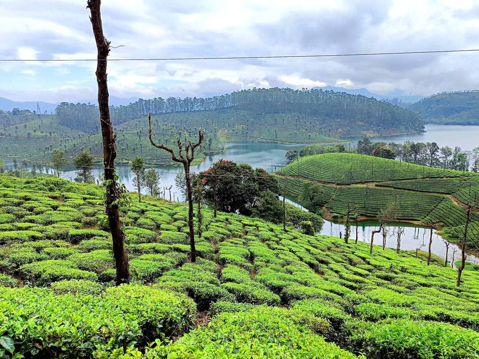 Valparai Tamil Nadu - Image 1