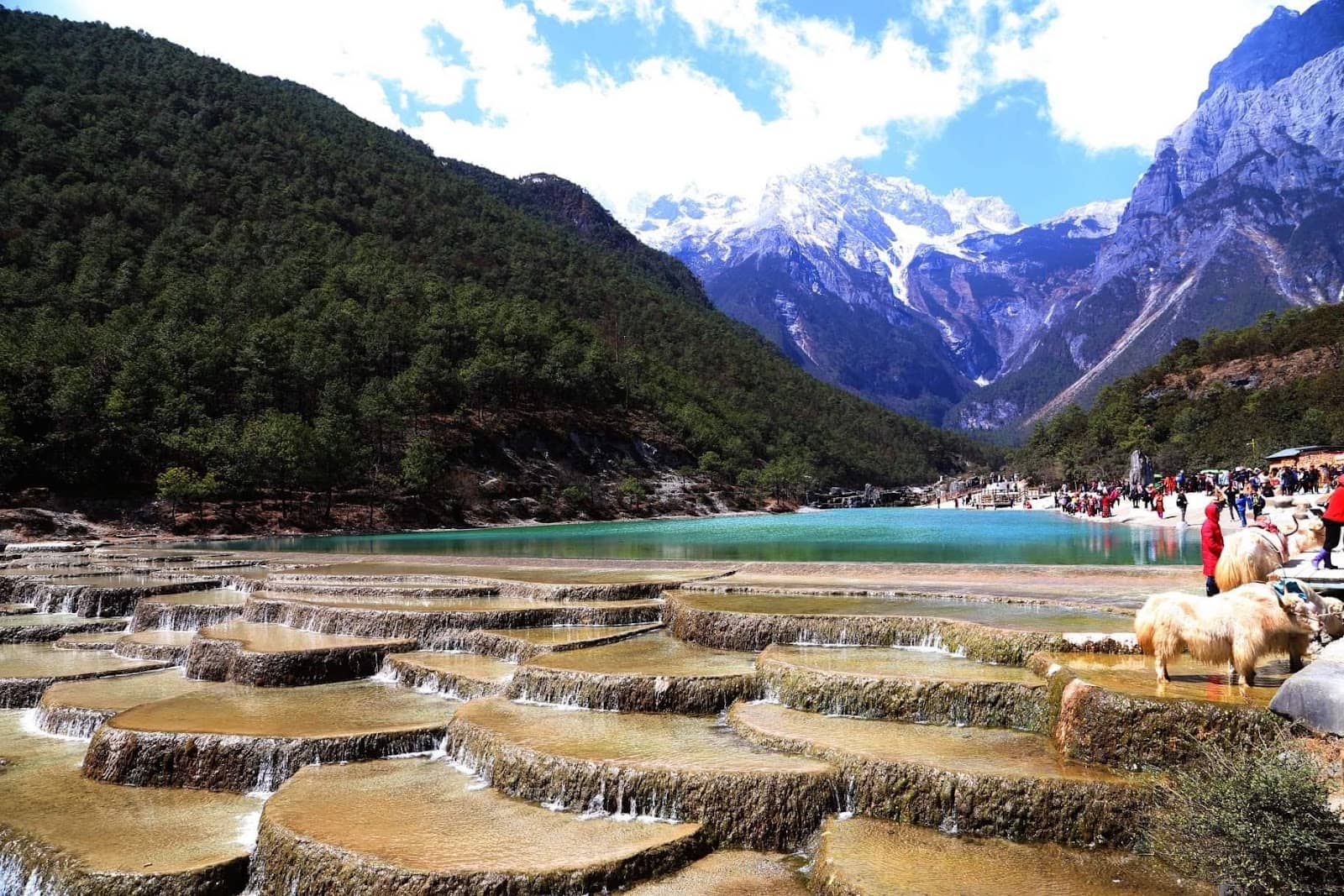 Mystical Alpine Atmosphere