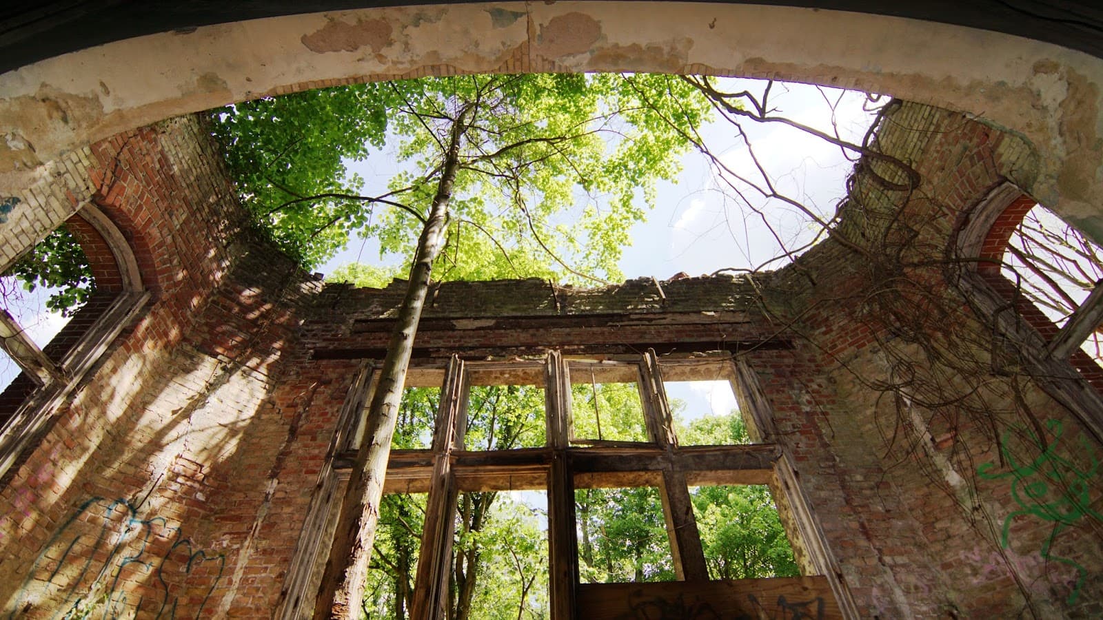 Baumkronenpfad Beelitz-Heilstätten - Image 1