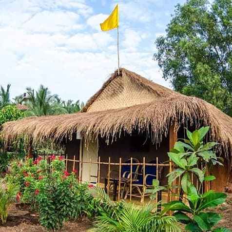 Banyan Tree Yoga Arambol Goa - Image 1