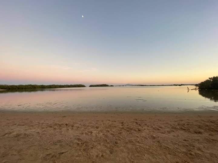 Nabq Protected Area Egypt - Image 1