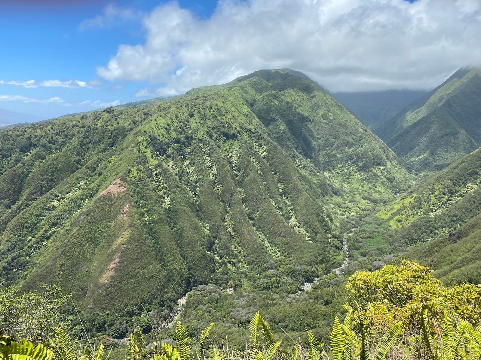 Waihee Ridge Trail - Image 1