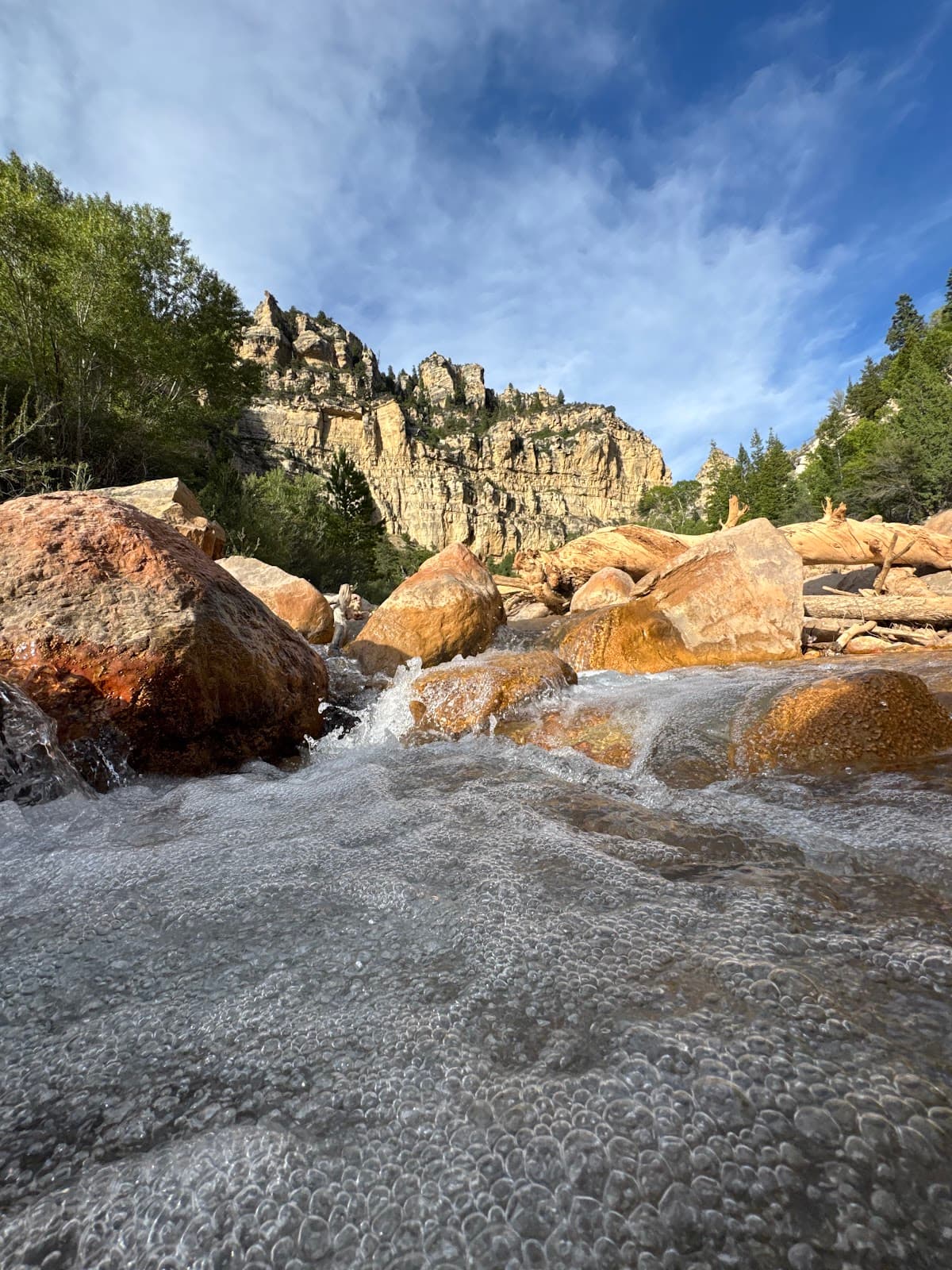 Ashdown Gorge Wilderness - Image 1