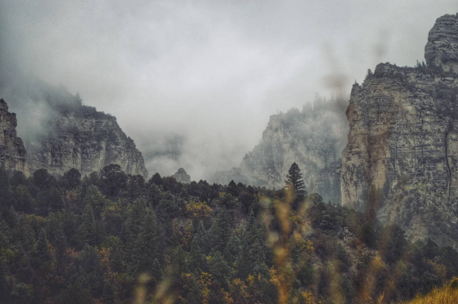 Vertical photo