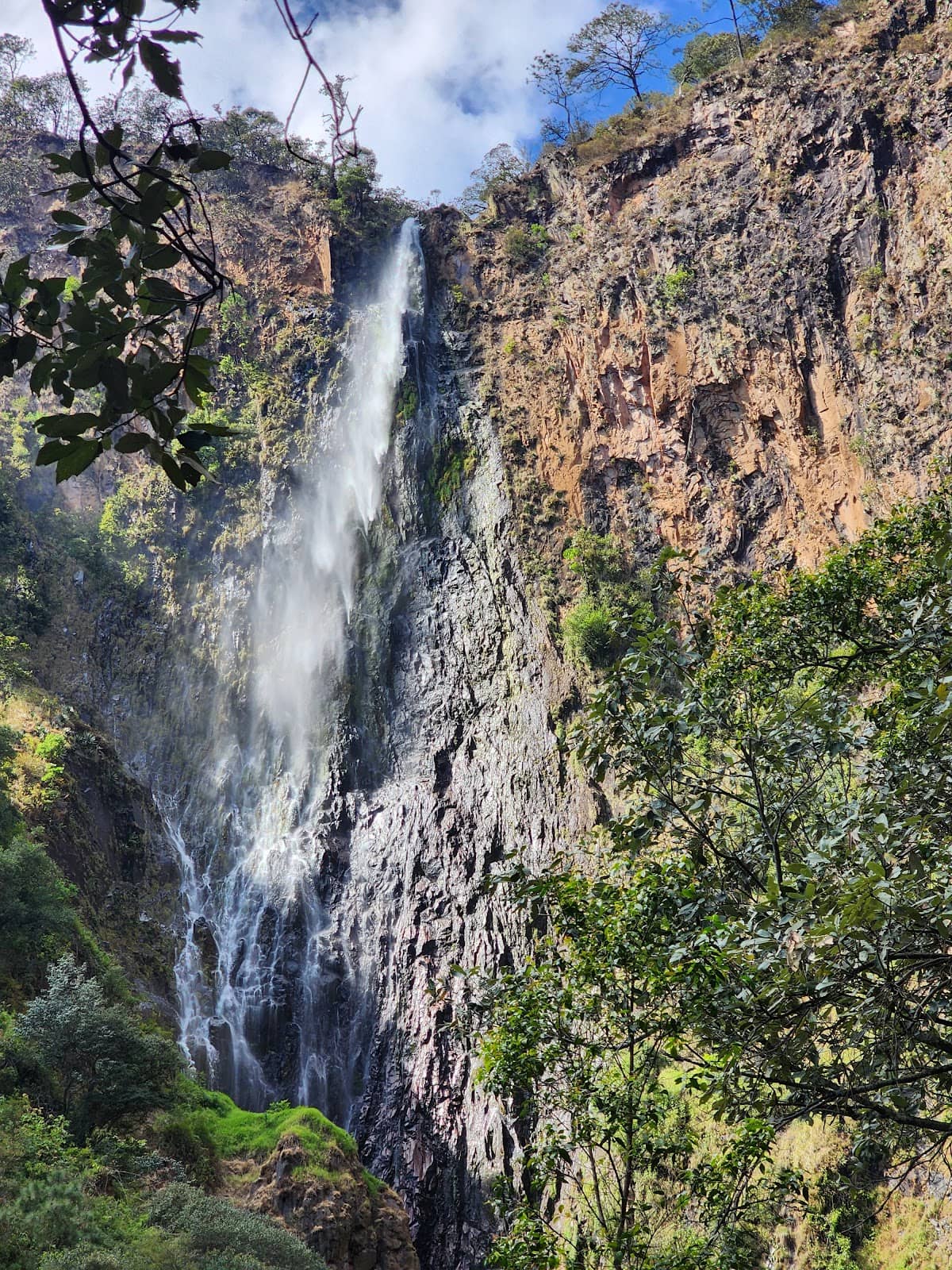 Vertical photo