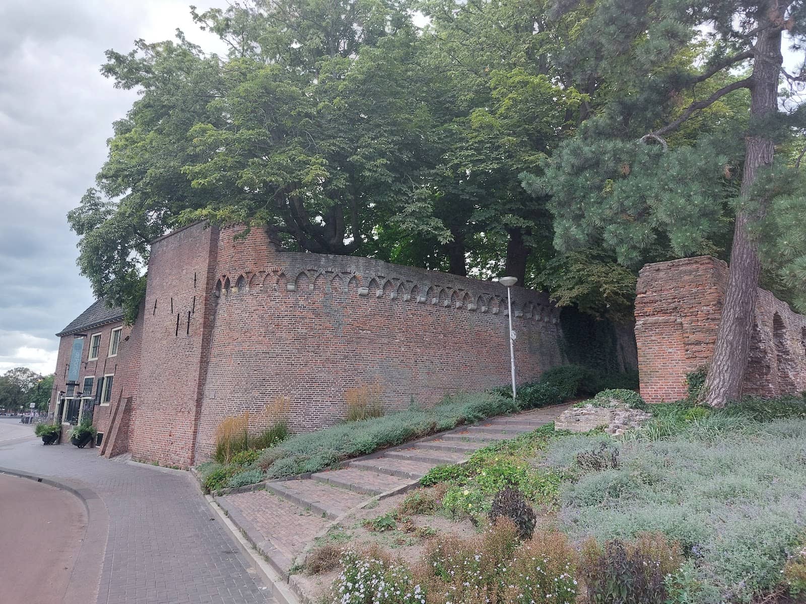 Tranquil Green Space