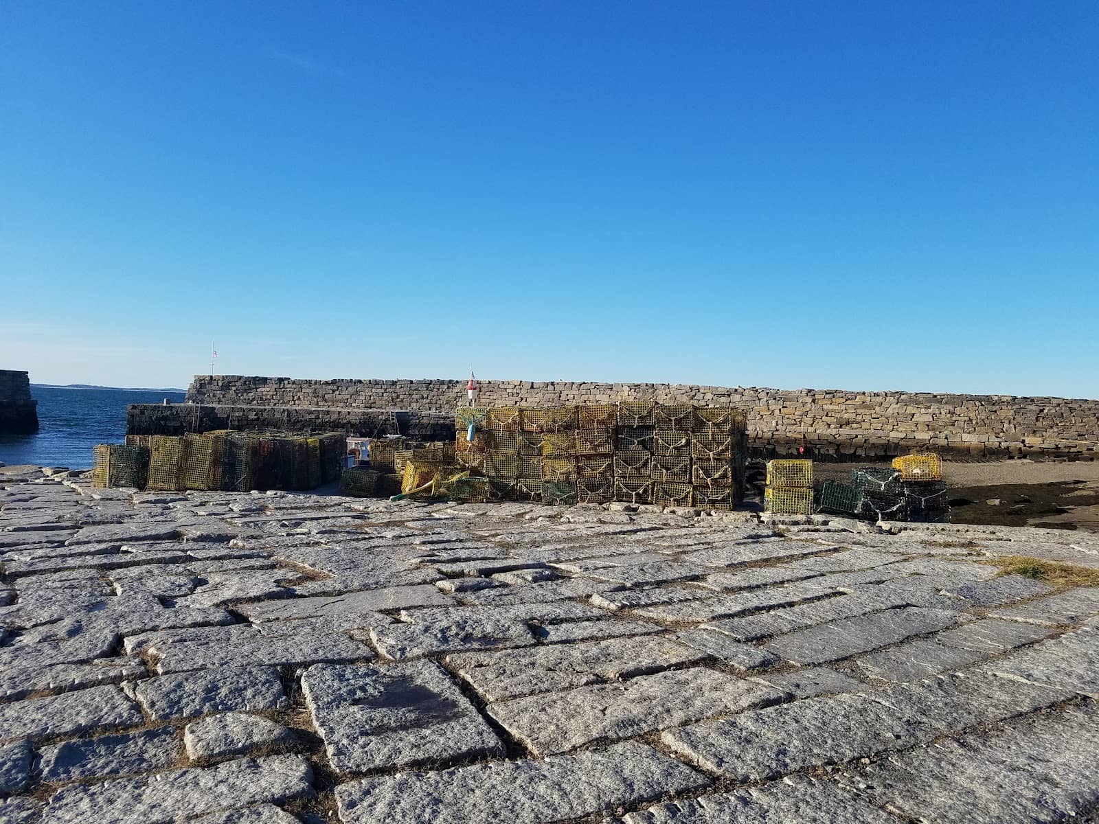 Rocky Shoreline Exploration