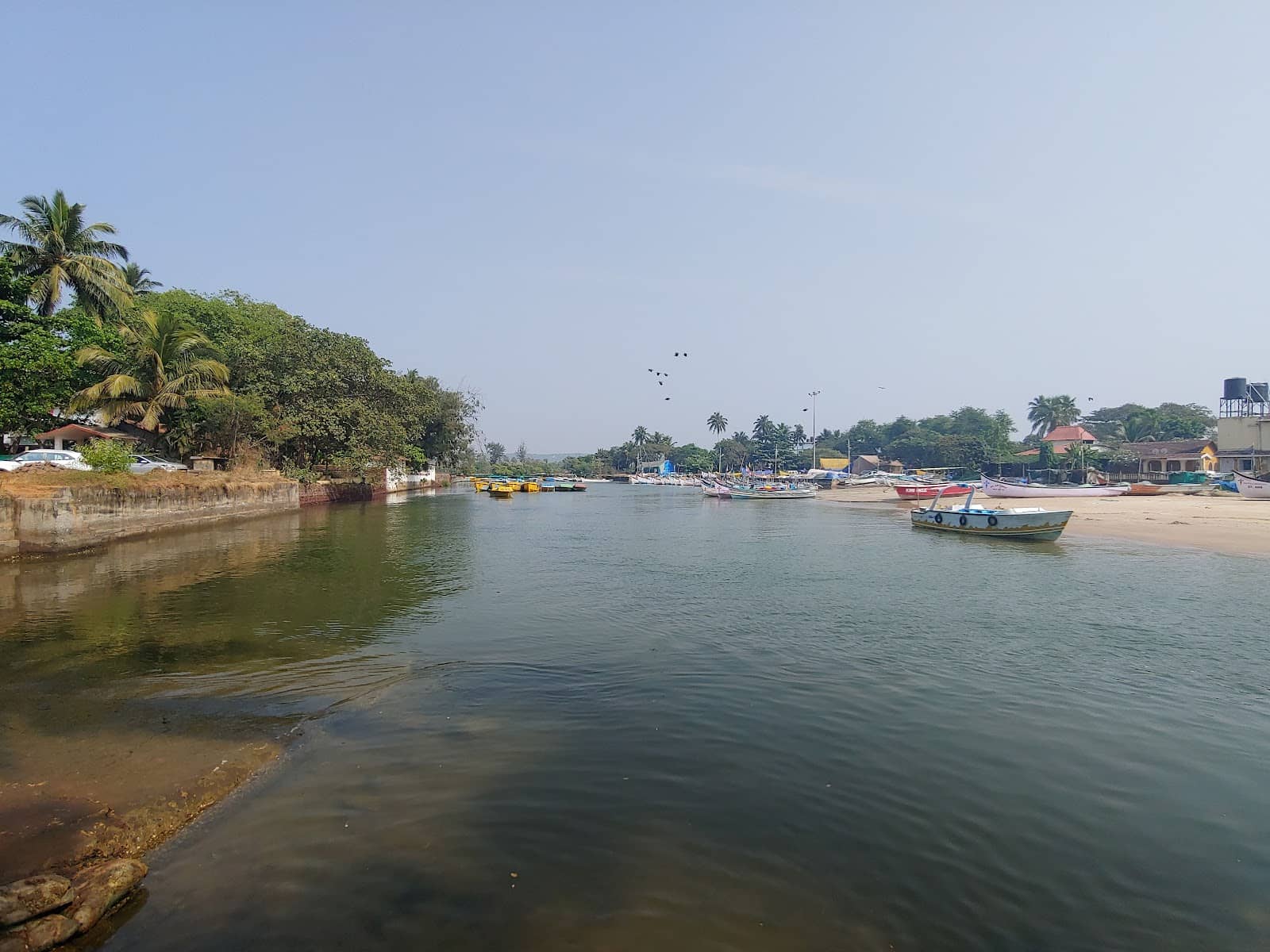 Tranquil Creek Views