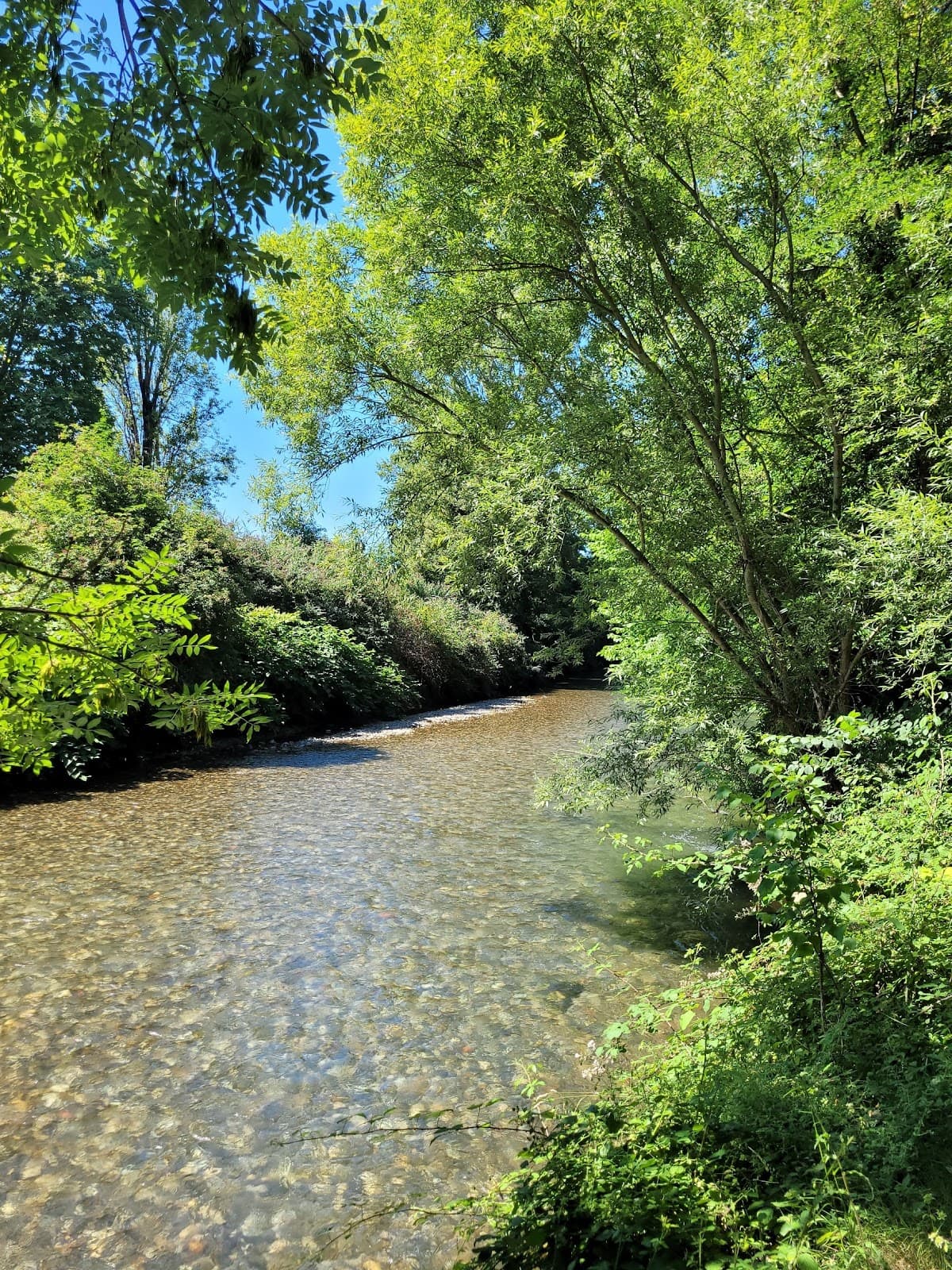 Caminadour (Adour riverside) - Image 1