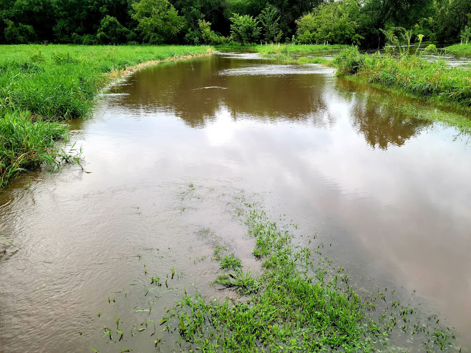 La Crosse River Marsh - Image 1