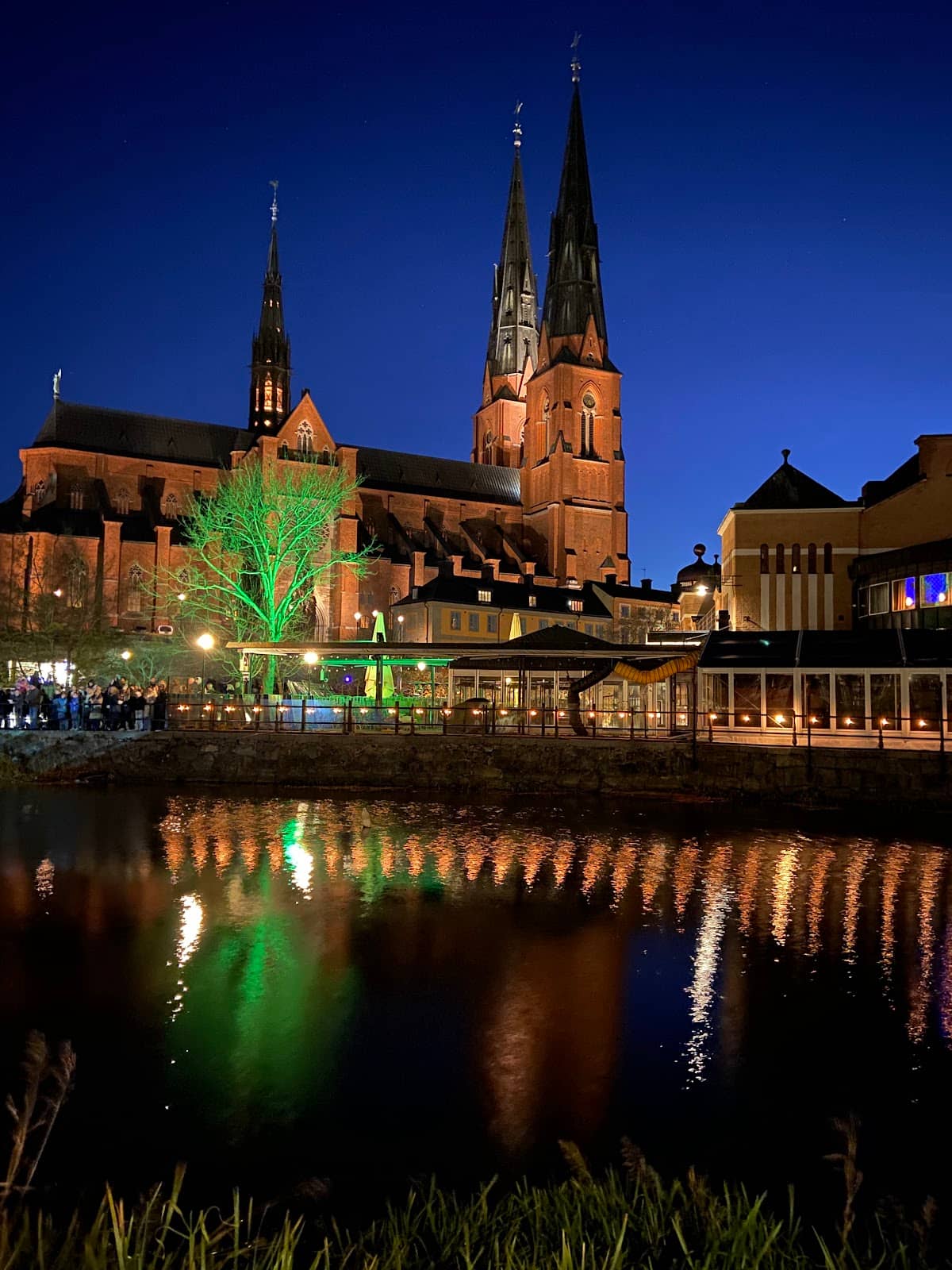 Güntherska Schweizeri