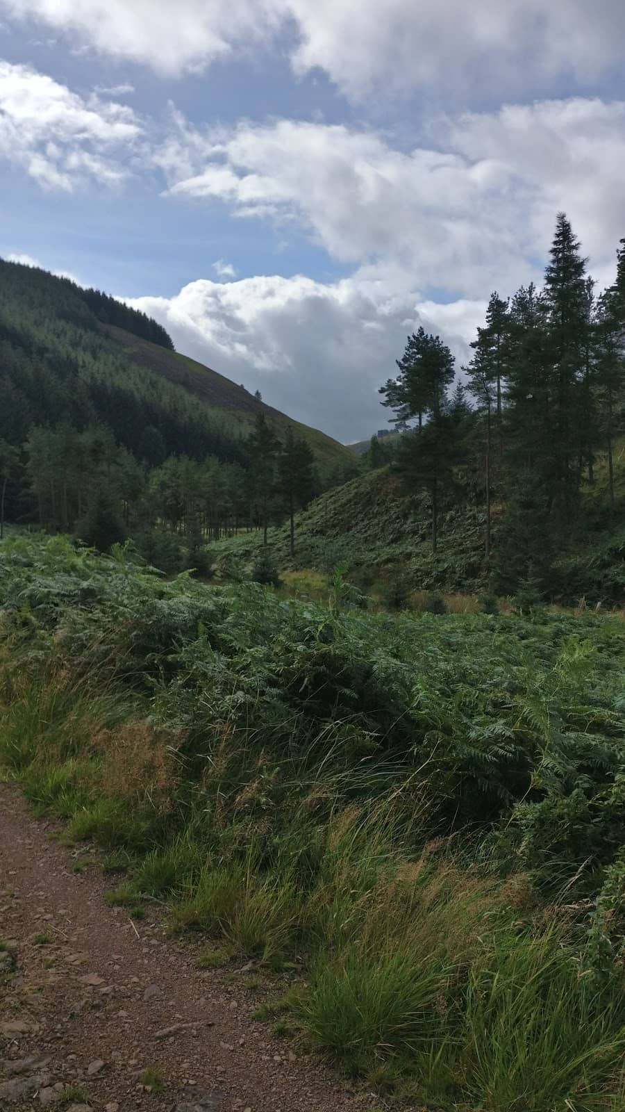 Winding Trails
