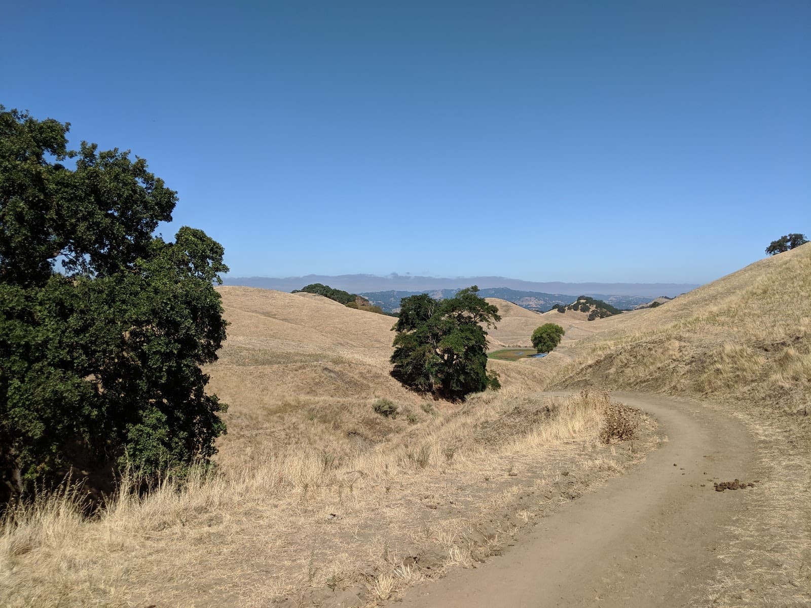 Diablo Foothills Regional Park - Image 1