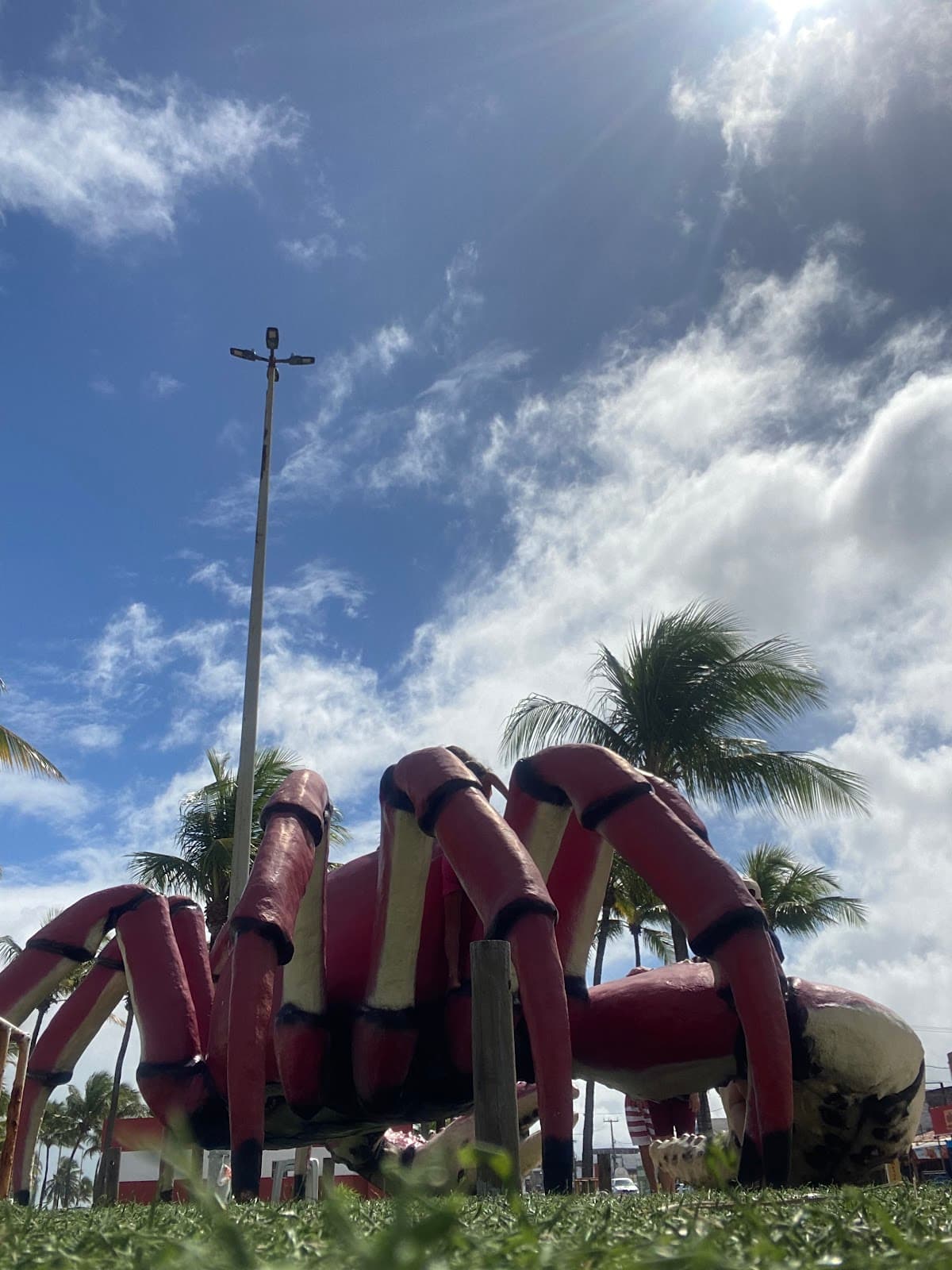 Caranguejo Gigante - Image 1