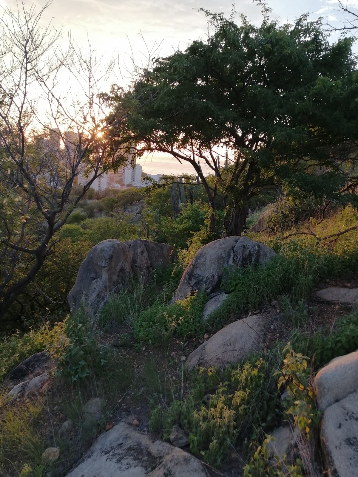 Gaira Colombia - Image 1