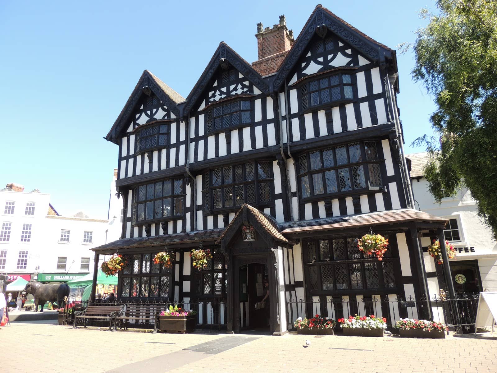 Interactive Displays & Activities