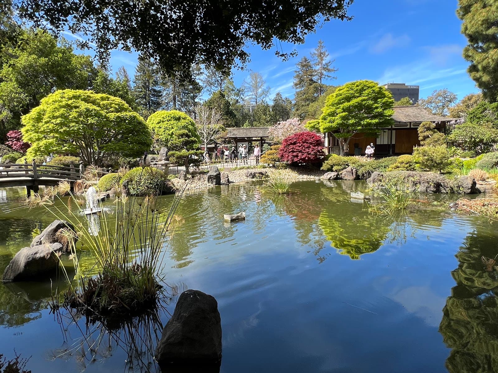 San Mateo Japanese Garden - Image 1