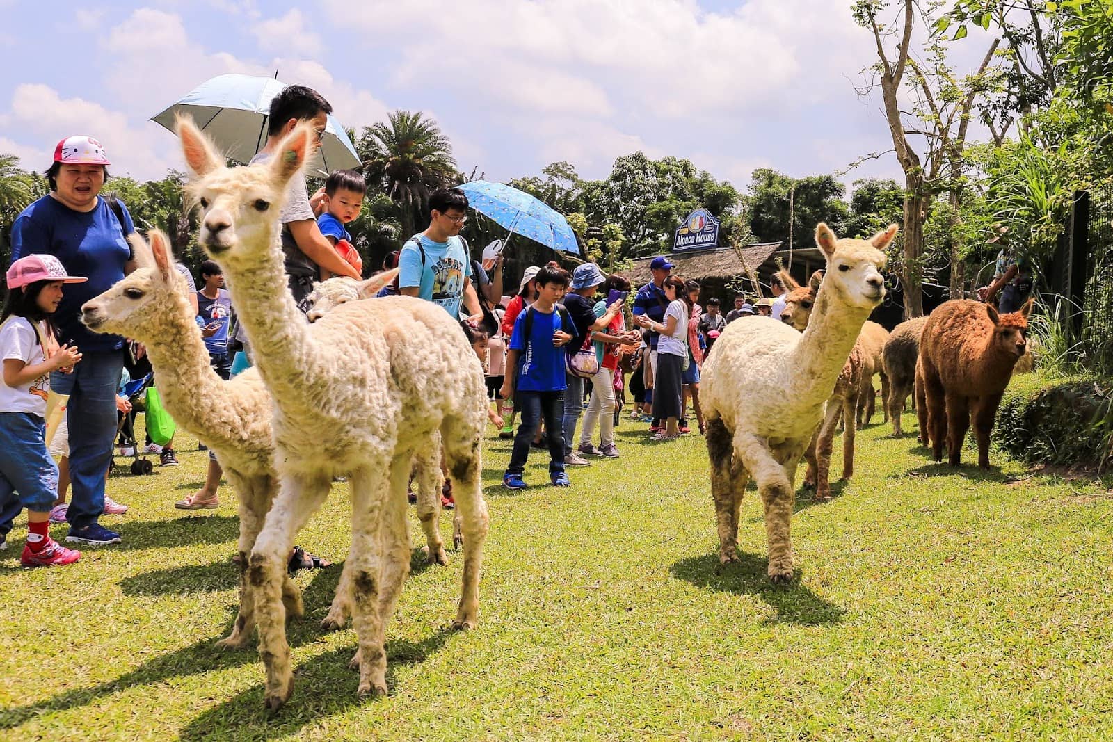 Lush Botanical Gardens
