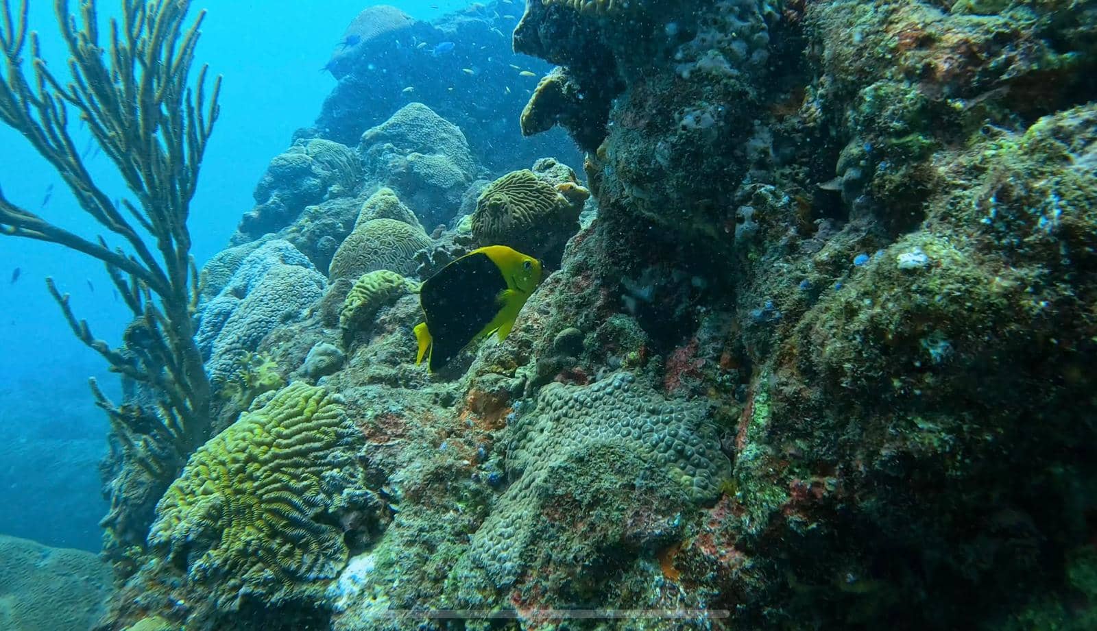 Underwater Exploration