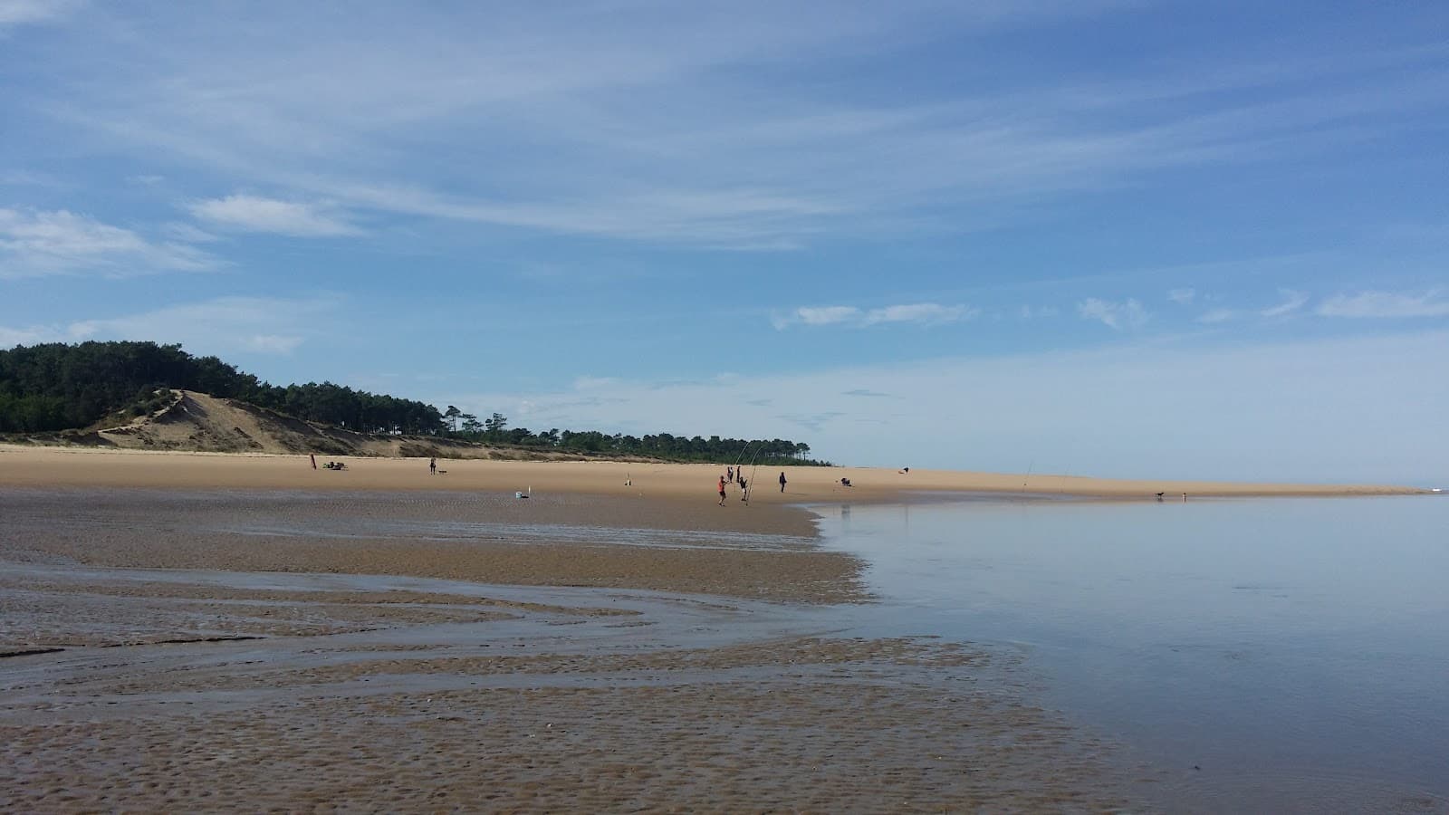 Forêt et Dunes de la Coubre - Image 1