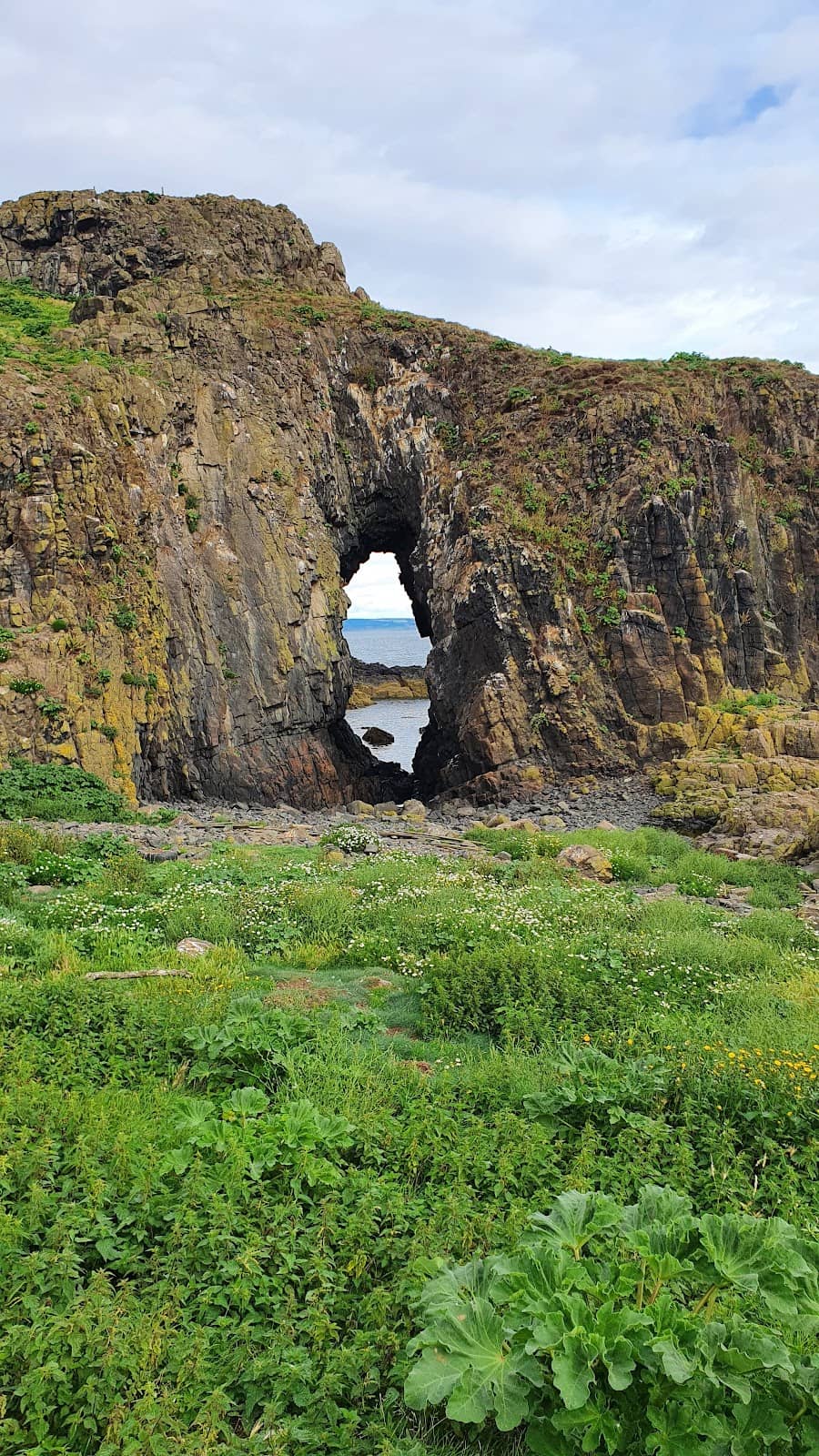 Vertical photo