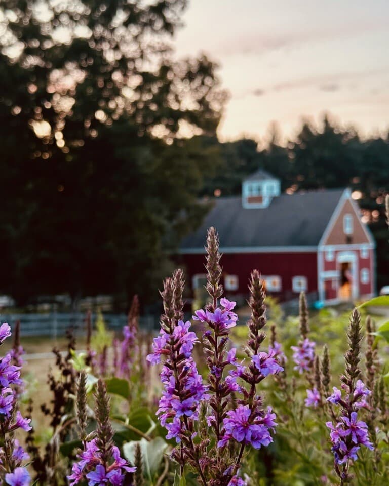 Good Pickin' Farm - Image 1