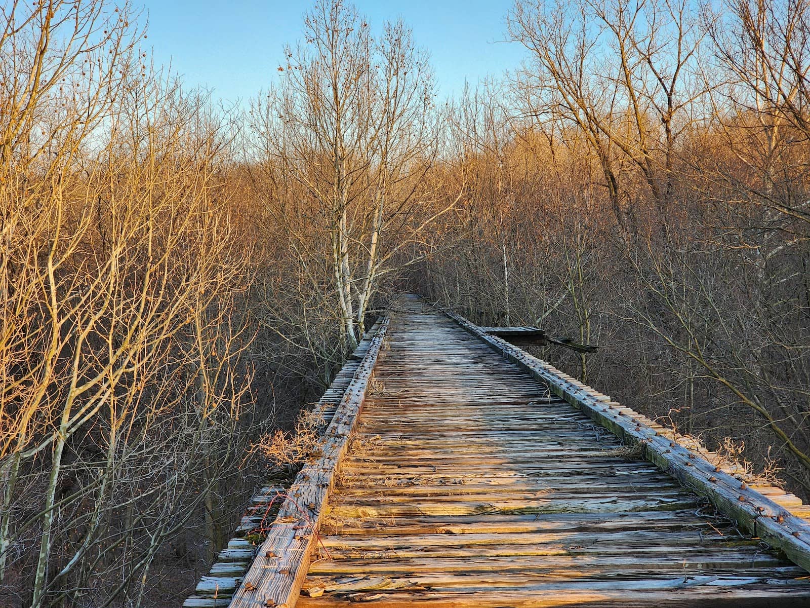 The Remaining Trestle