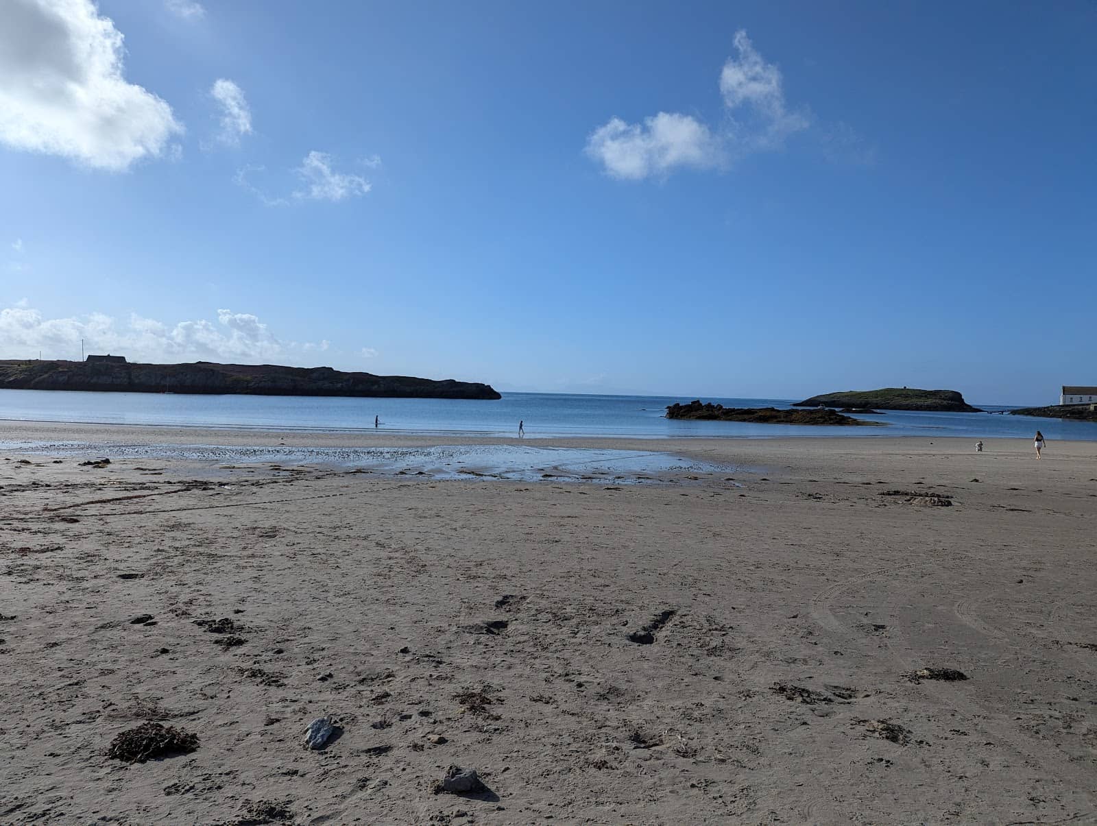 Seal Spotting Opportunities