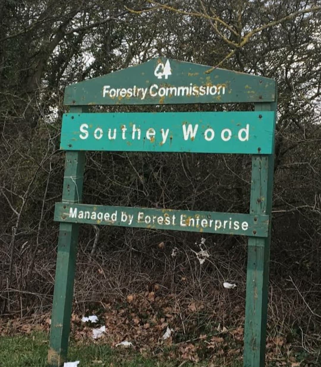 Southey Wood - Image 1