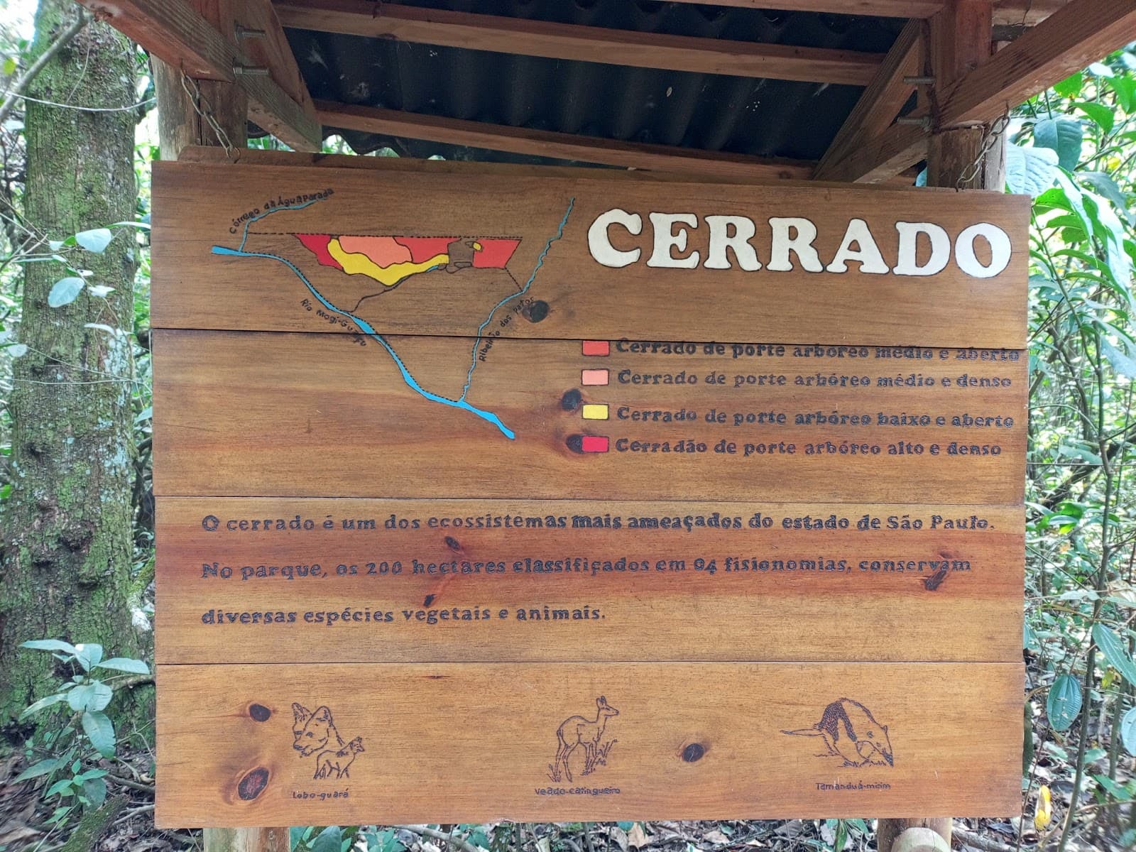 Porto Ferreira State Park - Image 1