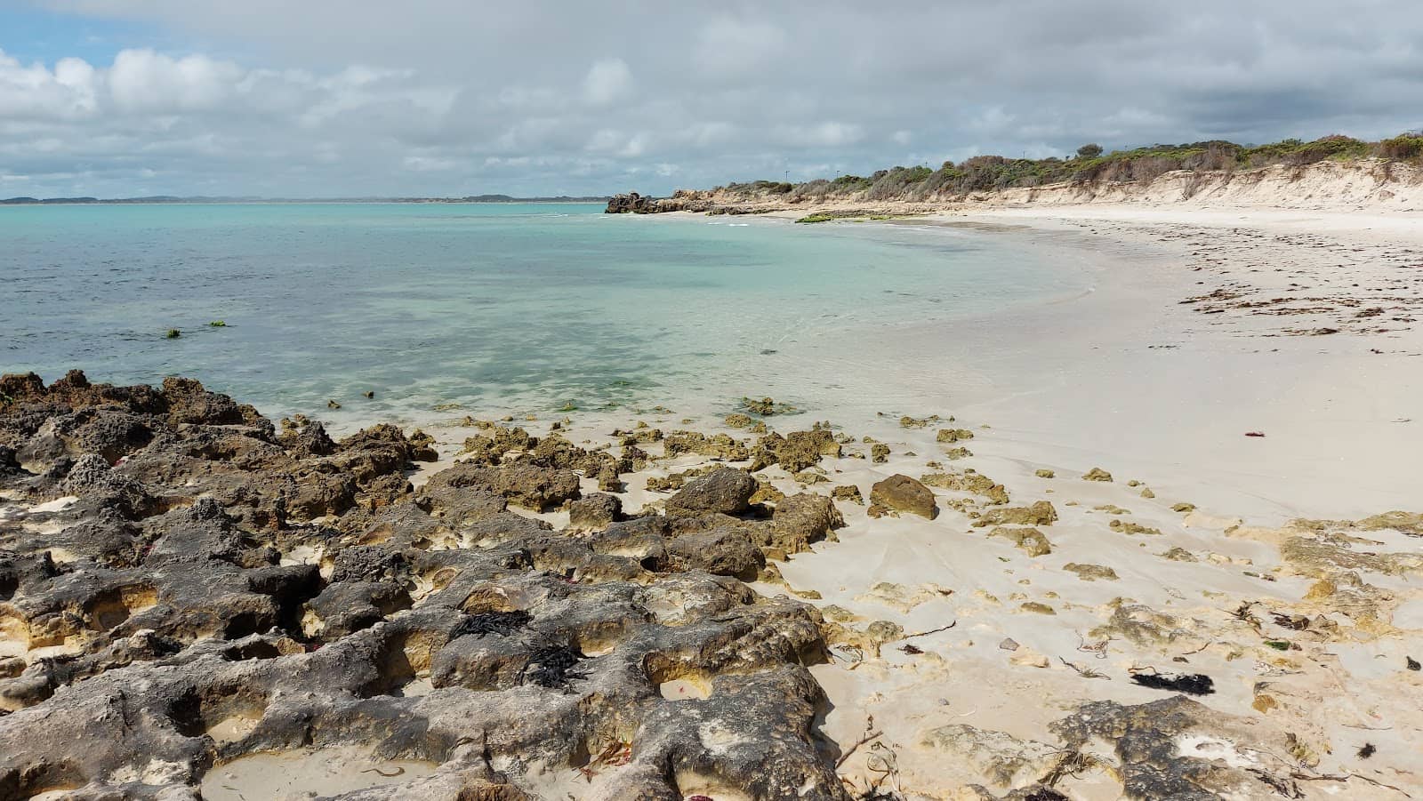 Kid-Friendly Swimming