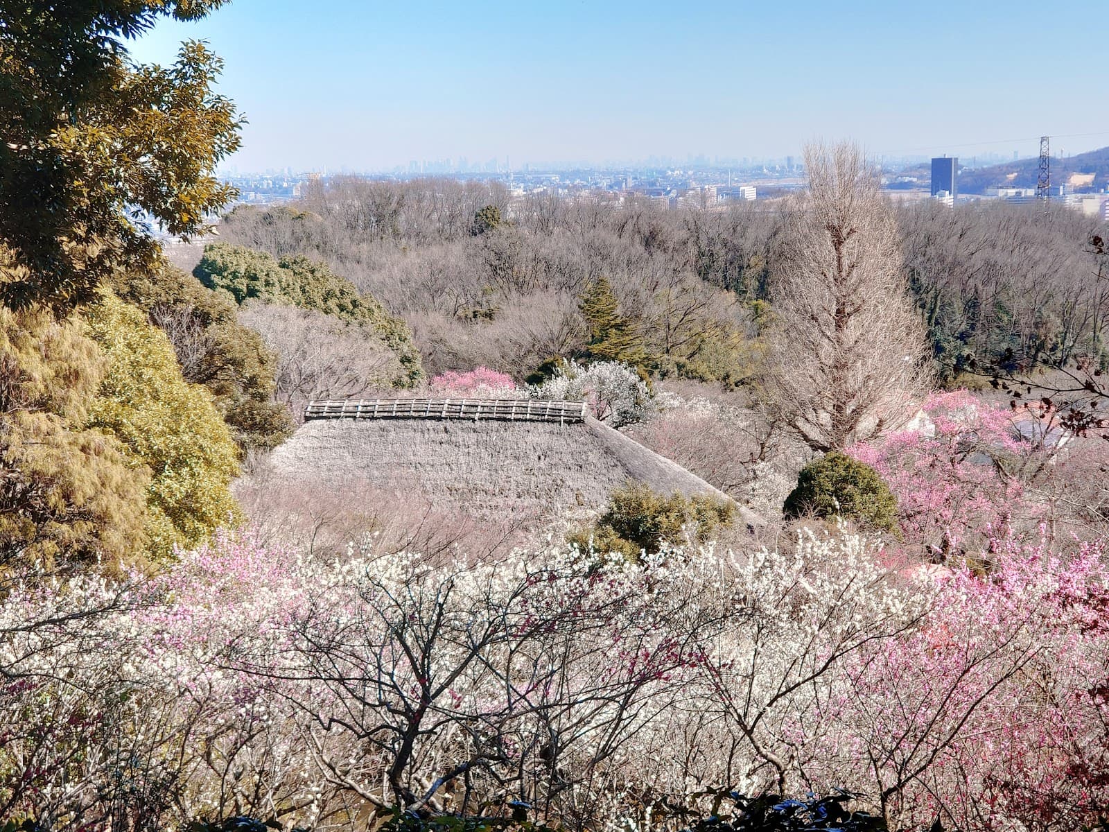 Keio Mogusaen Plum Garden - Image 1
